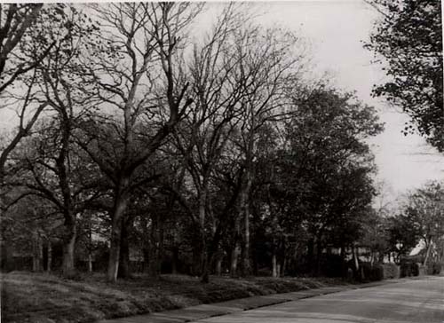 East end of Crispe Park site